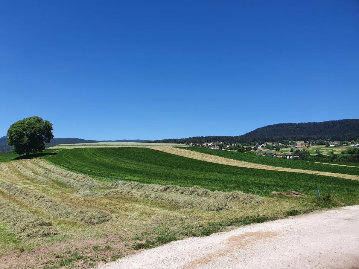 Agritur Belsogno B&B Brez Bagian luar foto